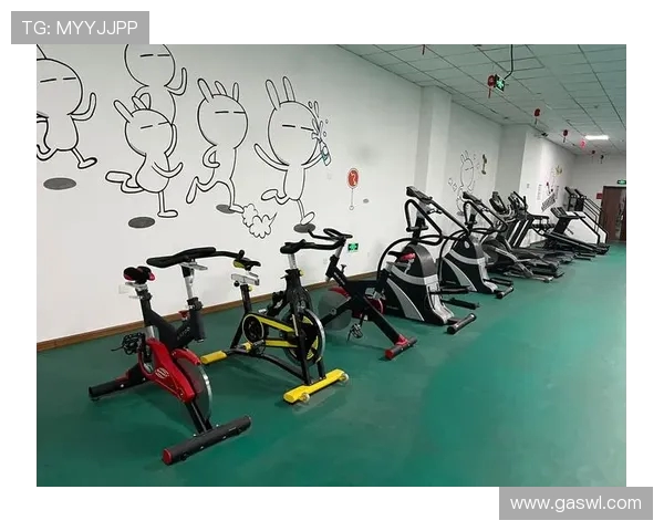 青岛室外健身器材购买地点与品牌推荐:如何选择合适的器材 青岛室外健身器材购买地点与品牌推荐:如何选择合适的器材